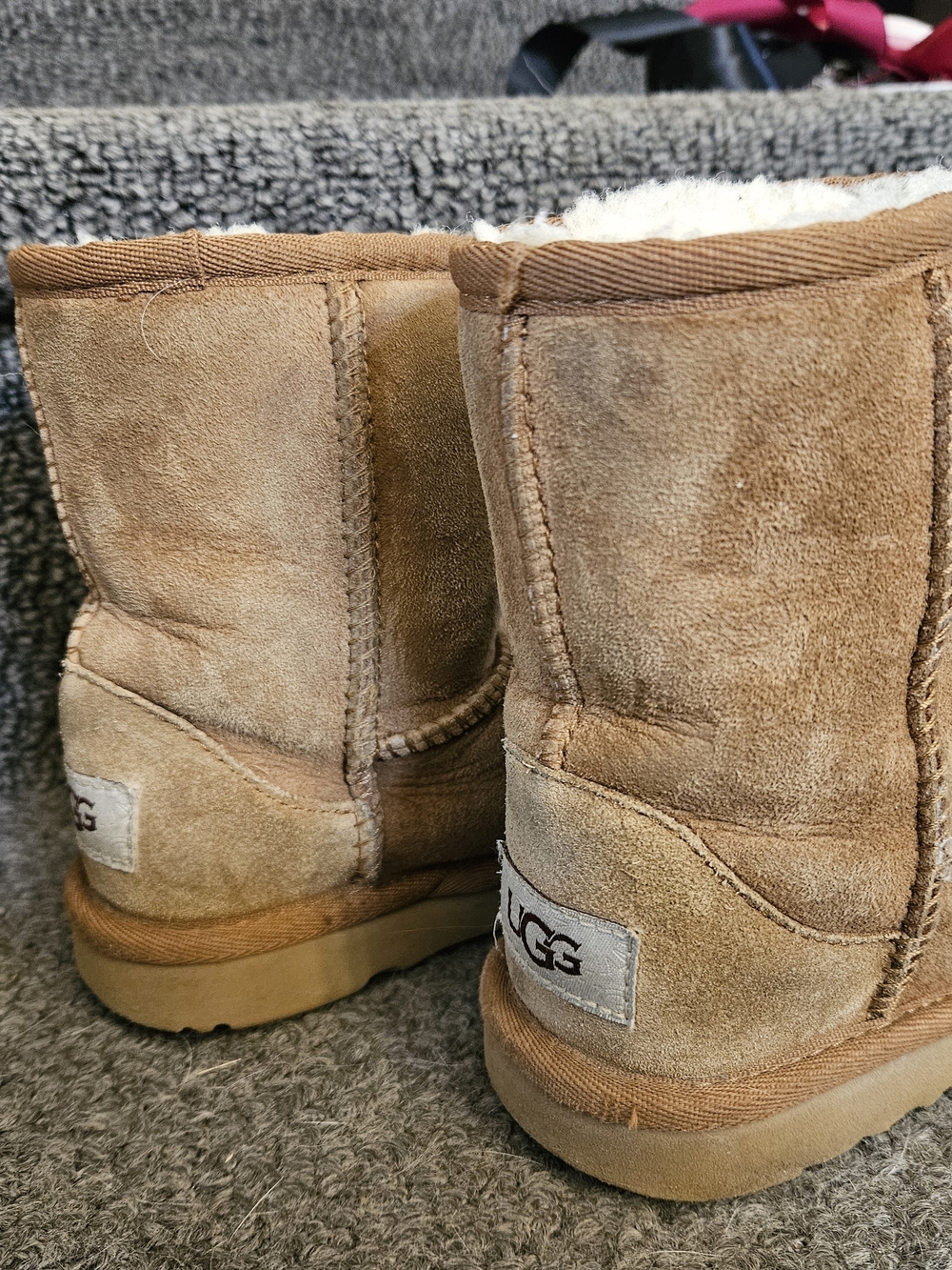 C10 UGG Kids Short Suede Boot in Chestnut Tan
